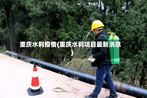 重庆水利疫情(重庆水利项目最新消息)-第3张图片
