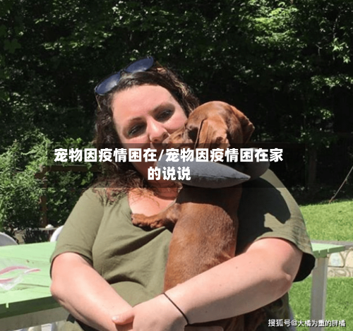 宠物因疫情困在/宠物因疫情困在家的说说-第2张图片
