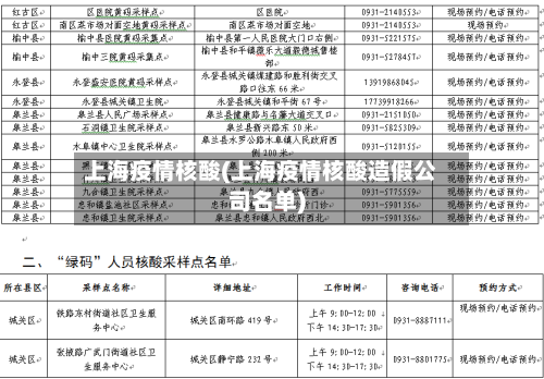 上海疫情核酸(上海疫情核酸造假公司名单)