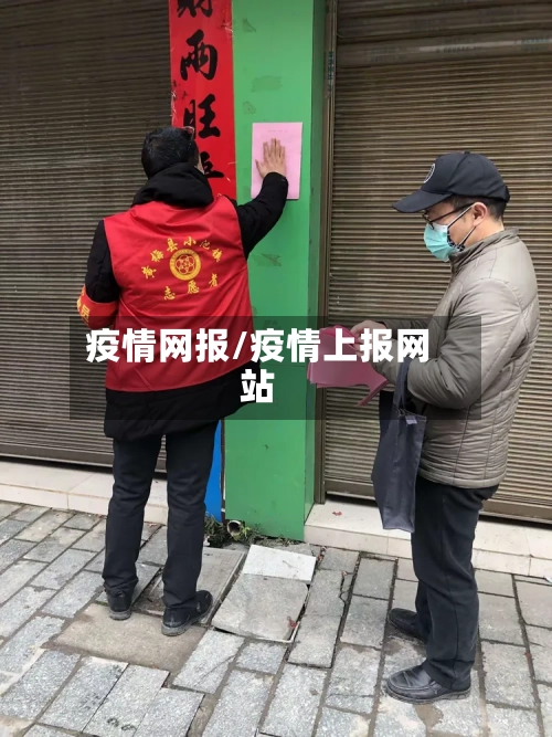 疫情网报/疫情上报网站