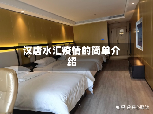 汉唐水汇疫情的简单介绍