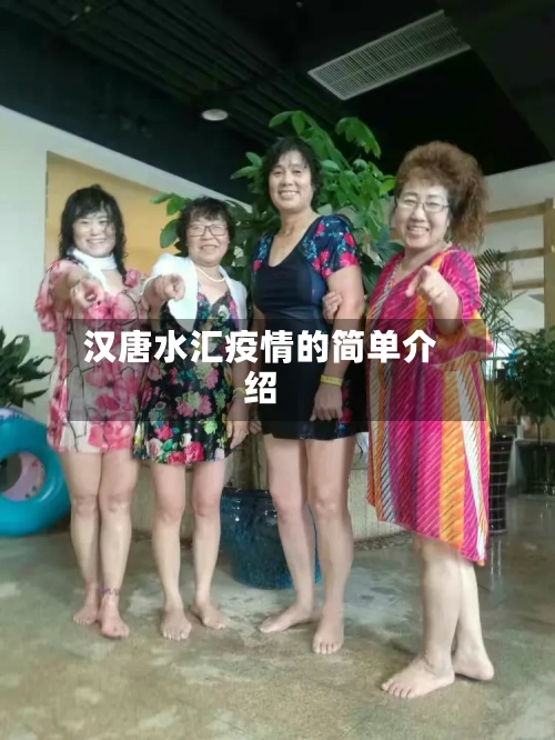 汉唐水汇疫情的简单介绍-第3张图片