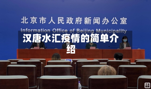 汉唐水汇疫情的简单介绍-第2张图片