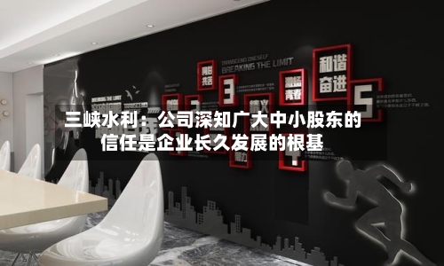 三峡水利：公司深知广大中小股东的信任是企业长久发展的根基-第3张图片