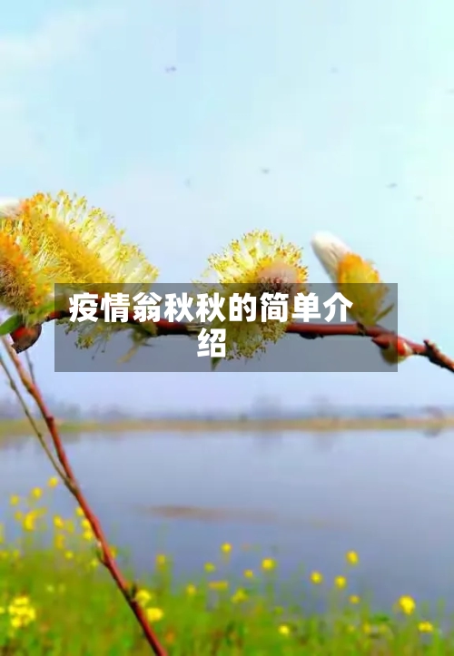 疫情翁秋秋的简单介绍