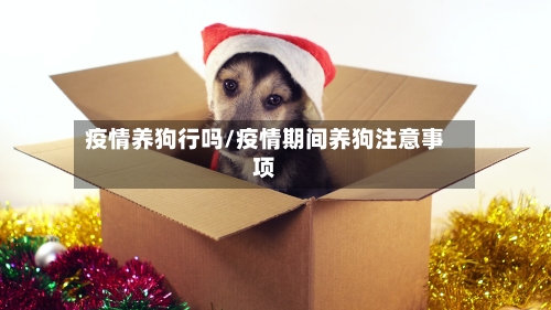 疫情养狗行吗/疫情期间养狗注意事项-第2张图片