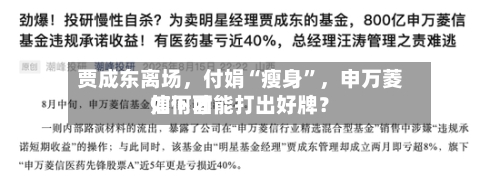 贾成东离场，付娟“瘦身”	，申万菱信下面如何才能打出好牌？-第3张图片