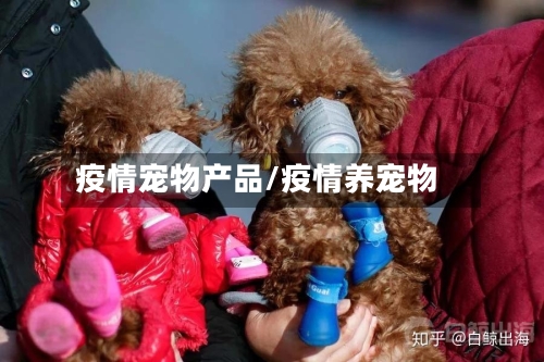 疫情宠物产品/疫情养宠物