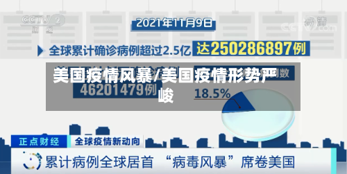 美国疫情风暴/美国疫情形势严峻-第2张图片