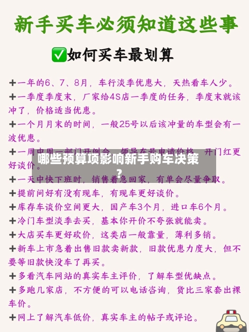 哪些预算项影响新手购车决策？-第2张图片