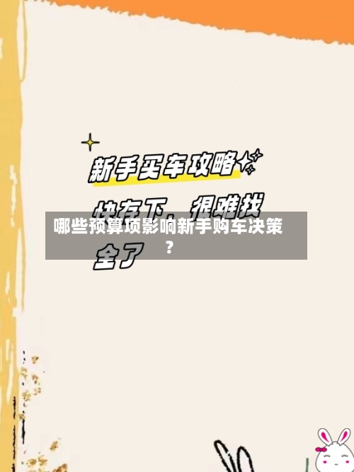 哪些预算项影响新手购车决策？