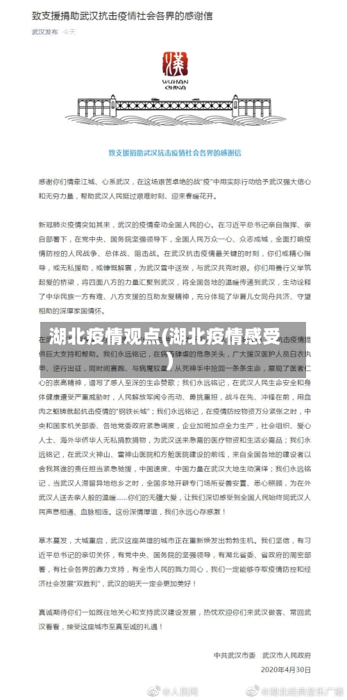 湖北疫情观点(湖北疫情感受)-第2张图片