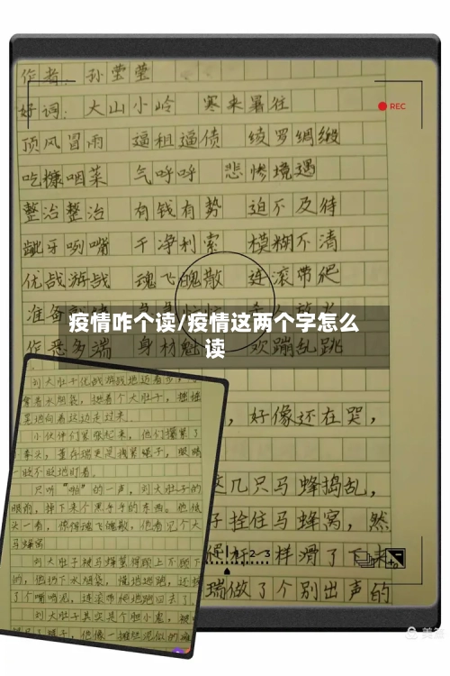 疫情咋个读/疫情这两个字怎么读-第2张图片