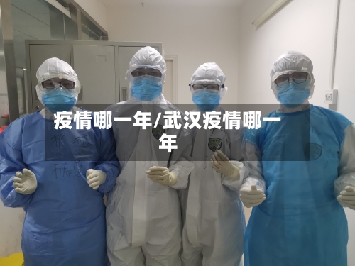 疫情哪一年/武汉疫情哪一年-第3张图片