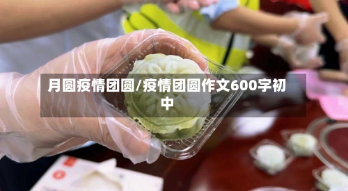 月圆疫情团圆/疫情团圆作文600字初中-第2张图片