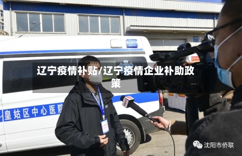 辽宁疫情补贴/辽宁疫情企业补助政策-第2张图片