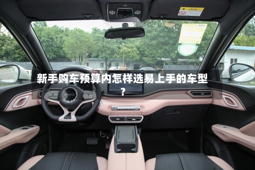 新手购车预算内怎样选易上手的车型？-第2张图片