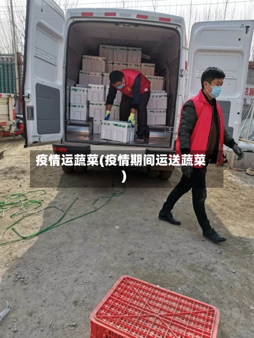 疫情运蔬菜(疫情期间运送蔬菜)