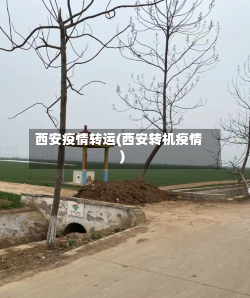 西安疫情转运(西安转机疫情)
