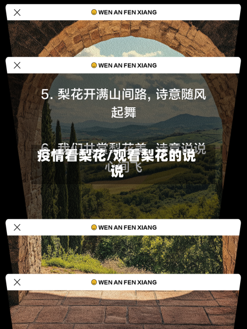 疫情看梨花/观看梨花的说说-第2张图片
