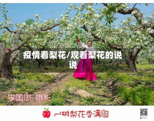 疫情看梨花/观看梨花的说说