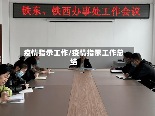 疫情指示工作/疫情指示工作总结