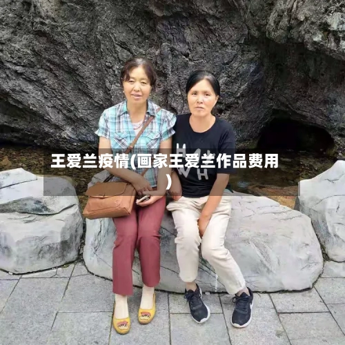 王爱兰疫情(画家王爱兰作品费用)