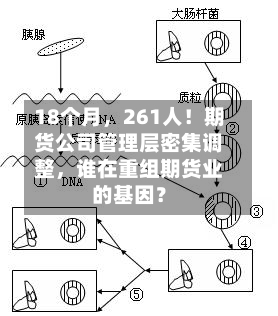 18个月，261人！期货公司管理层密集调整，谁在重组期货业的基因？