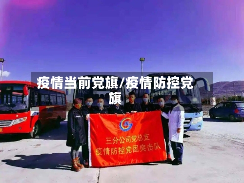 疫情当前党旗/疫情防控党旗-第2张图片