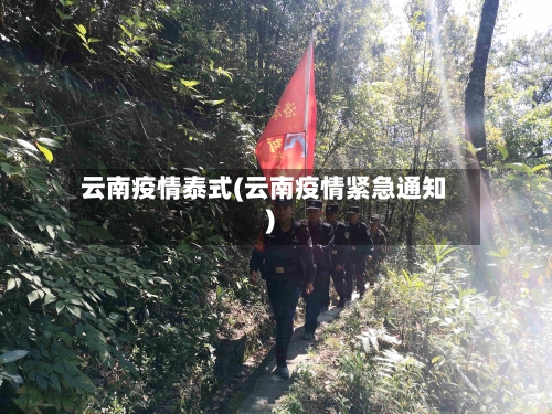 云南疫情泰式(云南疫情紧急通知)-第2张图片