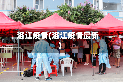 洛江疫情(洛江疫情最新)-第3张图片