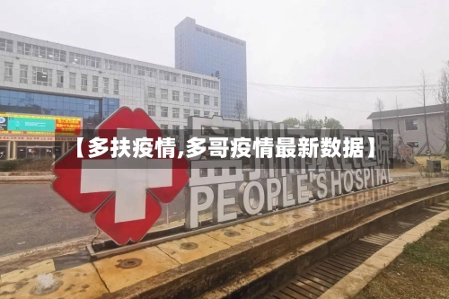 【多扶疫情,多哥疫情最新数据】