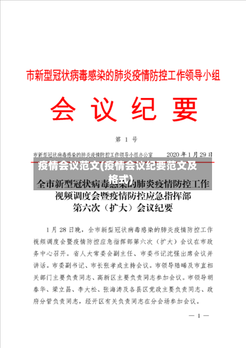 疫情会议范文(疫情会议纪要范文及格式)-第2张图片