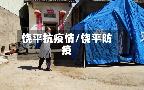 饶平抗疫情/饶平防疫-第3张图片