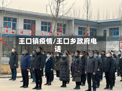 王口镇疫情/王口乡政府电话-第2张图片