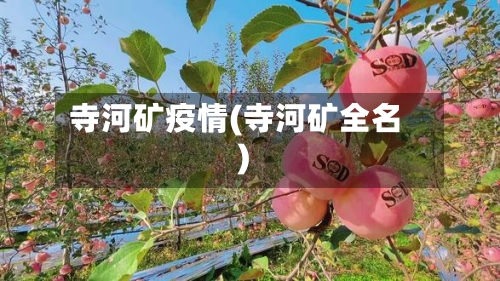 寺河矿疫情(寺河矿全名)