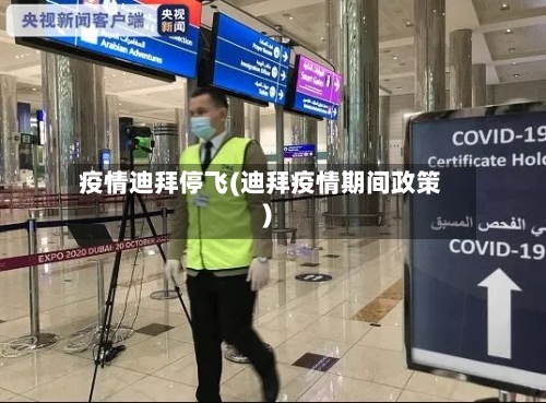 疫情迪拜停飞(迪拜疫情期间政策)