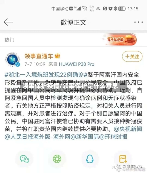 领事保护疫情/领事保护是什么意思