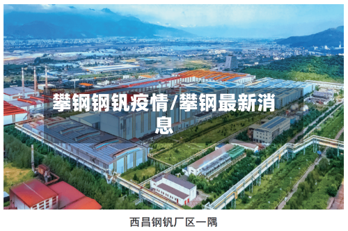 攀钢钢钒疫情/攀钢最新消息