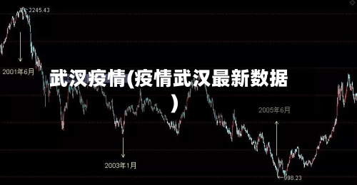武汊疫情(疫情武汉最新数据)-第3张图片
