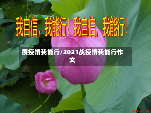 展疫情我能行/2021战疫情我能行作文