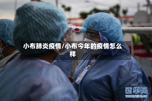 小布肺炎疫情/小布今年的疫情怎么样-第2张图片