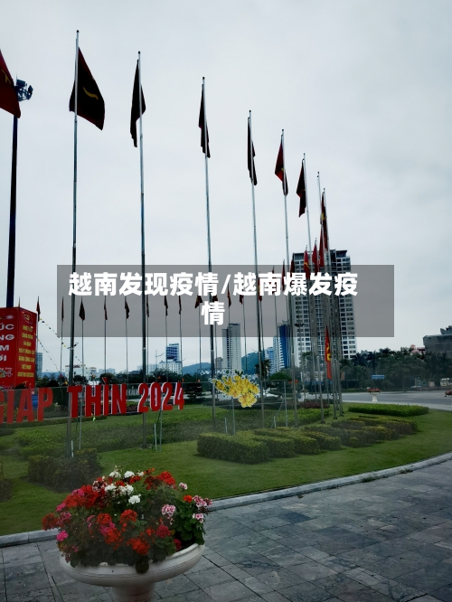 越南发现疫情/越南爆发疫情