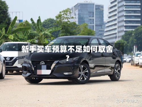 新手买车预算不足如何取舍？-第2张图片