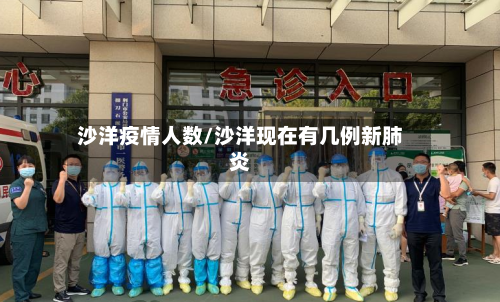 沙洋疫情人数/沙洋现在有几例新肺炎