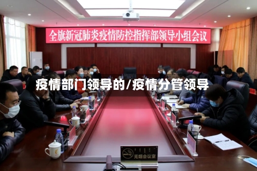 疫情部门领导的/疫情分管领导