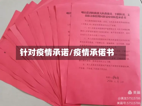 针对疫情承诺/疫情承偌书-第3张图片
