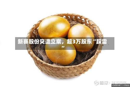 新赛股份突遭立案，超3万股东“踩雷”-第2张图片