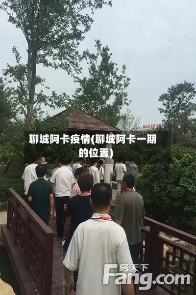 聊城阿卡疫情(聊城阿卡一期的位置)