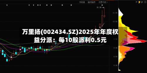 万里扬(002434.SZ)2025年年度权益分派：每10股派利0.5元-第2张图片
